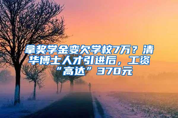 拿奖学金变欠学校7万？清华博士人才引进后，工资“高达”370元