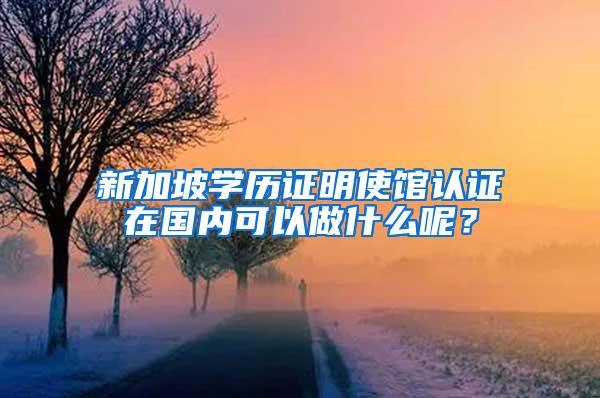 新加坡学历证明使馆认证在国内可以做什么呢？