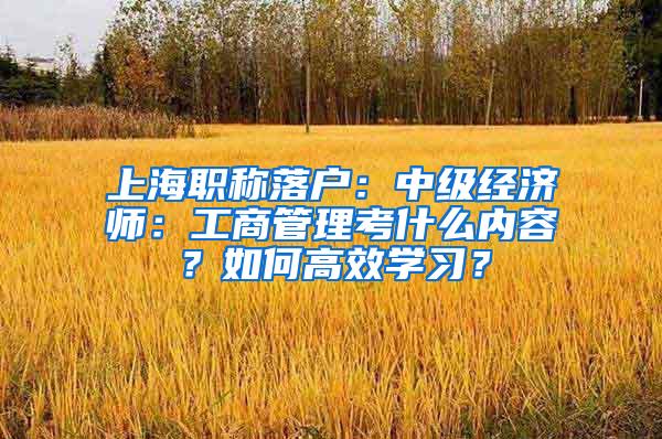 上海职称落户：中级经济师：工商管理考什么内容？如何高效学习？