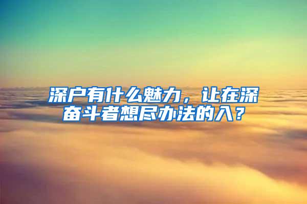 深户有什么魅力，让在深奋斗者想尽办法的入？