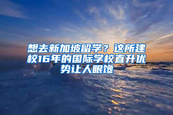 想去新加坡留学？这所建校16年的国际学校直升优势让人眼馋