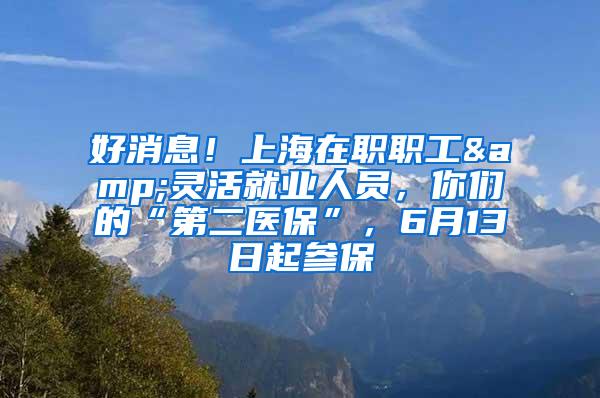 好消息！上海在职职工&灵活就业人员，你们的“第二医保”，6月13日起参保