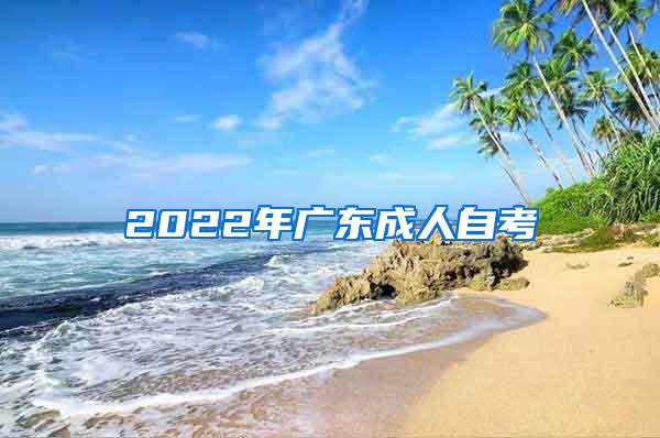 2022年广东成人自考