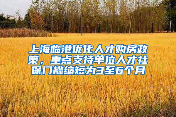 上海临港优化人才购房政策，重点支持单位人才社保门槛缩短为3至6个月