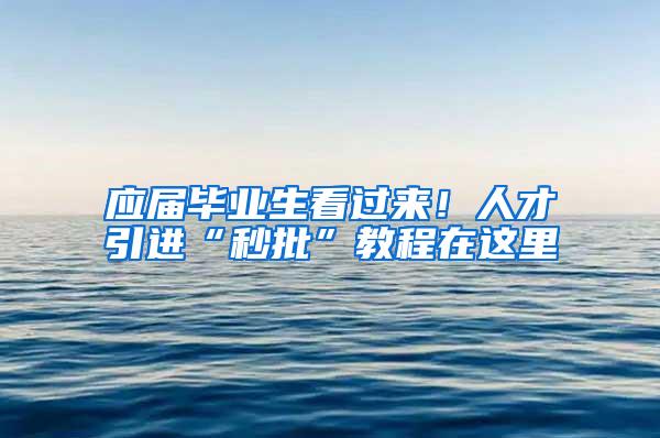 应届毕业生看过来！人才引进“秒批”教程在这里