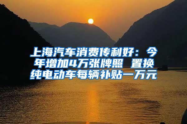 上海汽车消费传利好：今年增加4万张牌照 置换纯电动车每辆补贴一万元