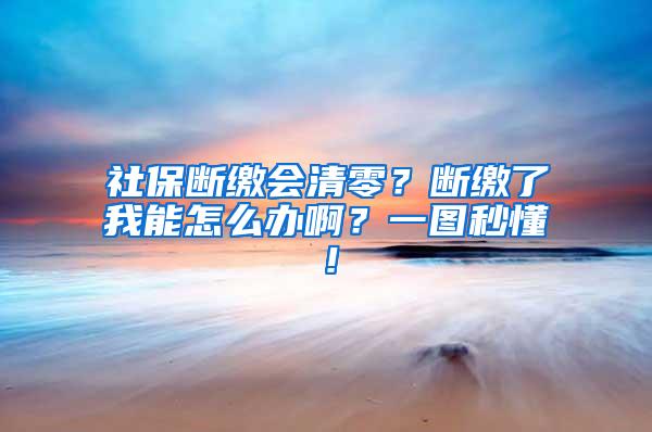 社保断缴会清零？断缴了我能怎么办啊？一图秒懂！