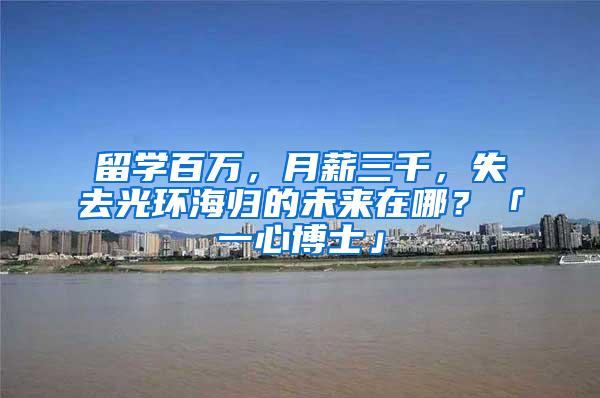 留学百万，月薪三千，失去光环海归的未来在哪？「一心博士」