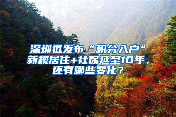 深圳拟发布“积分入户”新规居住+社保延至10年，还有哪些变化？