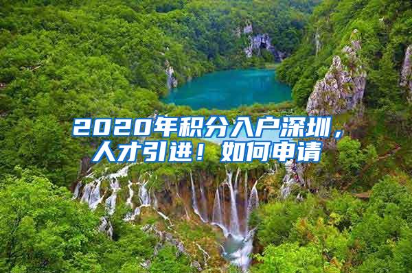 2020年积分入户深圳，人才引进！如何申请