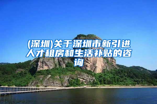 (深圳)关于深圳市新引进人才租房和生活补贴的咨询