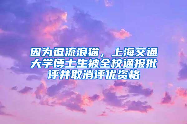 因为逗流浪猫，上海交通大学博士生被全校通报批评并取消评优资格