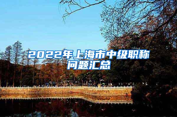 2022年上海市中级职称问题汇总