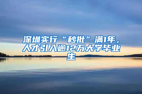 深圳实行“秒批”满1年，人才引入逾12万大学毕业生