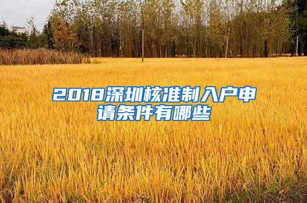 2018深圳核准制入户申请条件有哪些