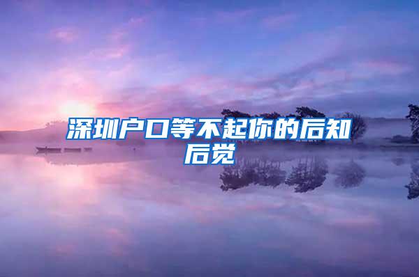 深圳户口等不起你的后知后觉