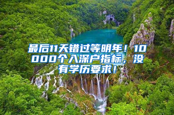 最后11天错过等明年！10000个入深户指标，没有学历要求！