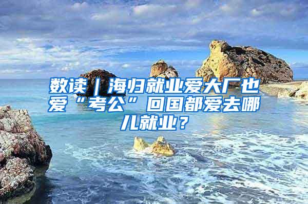 数读｜海归就业爱大厂也爱“考公”回国都爱去哪儿就业？