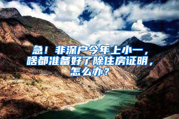 急！非深户今年上小一，啥都准备好了除住房证明，怎么办？