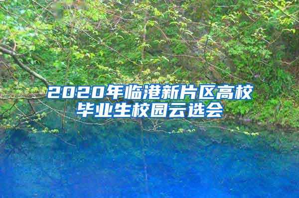 2020年临港新片区高校毕业生校园云选会