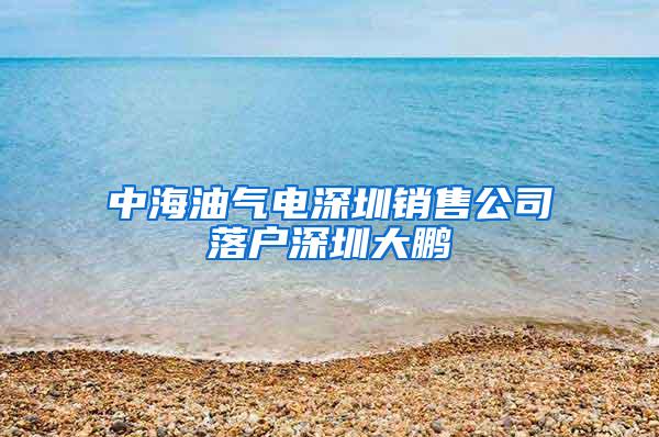 中海油气电深圳销售公司落户深圳大鹏