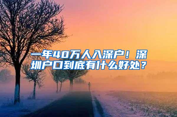 一年40万人入深户！深圳户口到底有什么好处？