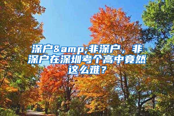 深户&非深户，非深户在深圳考个高中竟然这么难？