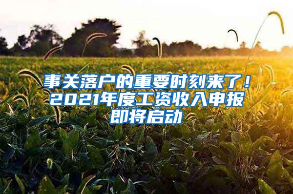 事关落户的重要时刻来了！2021年度工资收入申报即将启动