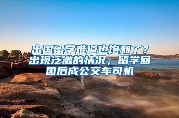 出国留学难道也饱和了？出现泛滥的情况，留学回国后成公交车司机