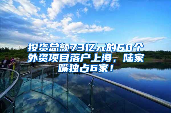 投资总额73亿元的60个外资项目落户上海，陆家嘴独占6家！