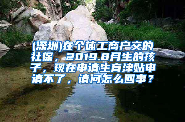 (深圳)在个体工商户交的社保，2019.8月生的孩子，现在申请生育津贴申请不了，请问怎么回事？