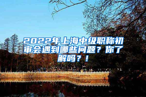 2022年上海中级职称初审会遇到哪些问题？你了解吗？!