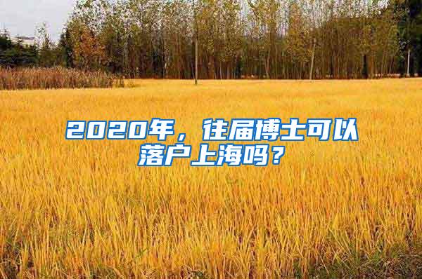 2020年，往届博士可以落户上海吗？