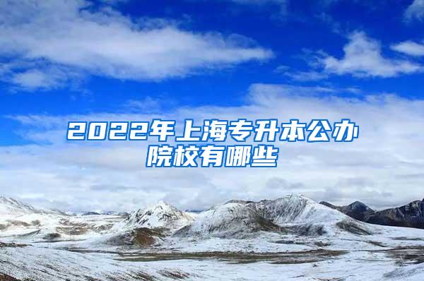 2022年上海专升本公办院校有哪些