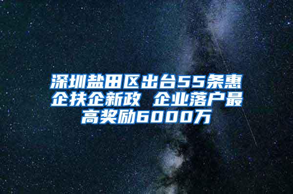 深圳盐田区出台55条惠企扶企新政 企业落户最高奖励6000万