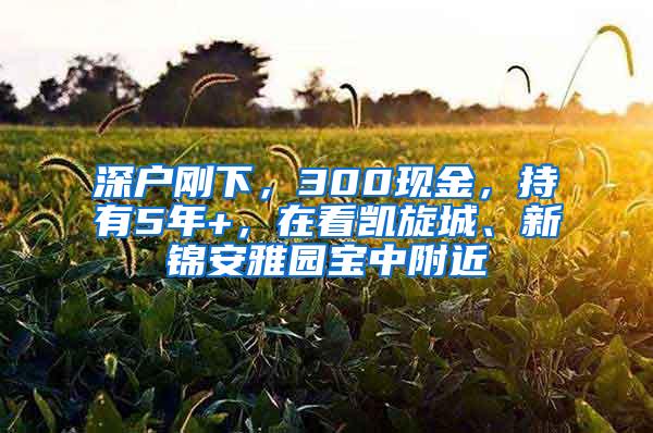 深户刚下，300现金，持有5年+，在看凯旋城、新锦安雅园宝中附近