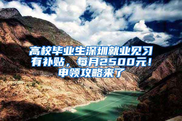 高校毕业生深圳就业见习有补贴，每月2500元！申领攻略来了