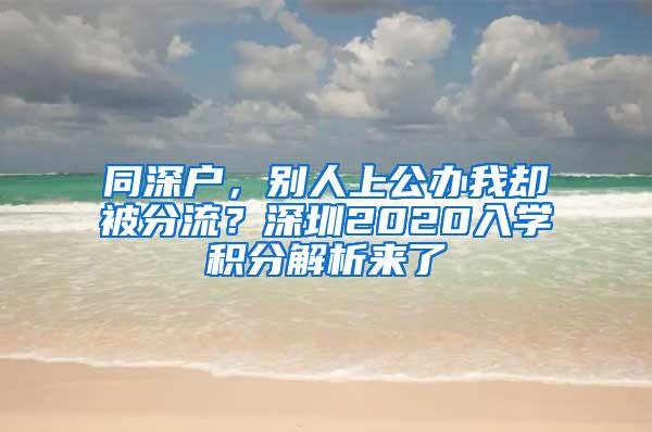 同深户，别人上公办我却被分流？深圳2020入学积分解析来了