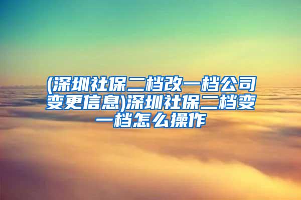 (深圳社保二档改一档公司变更信息)深圳社保二档变一档怎么操作