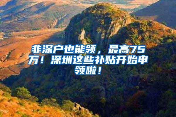 非深户也能领，最高75万！深圳这些补贴开始申领啦！