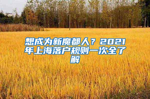 想成为新魔都人？2021年上海落户规则一次全了解