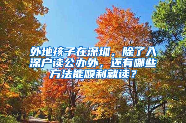 外地孩子在深圳，除了入深户读公办外，还有哪些方法能顺利就读？