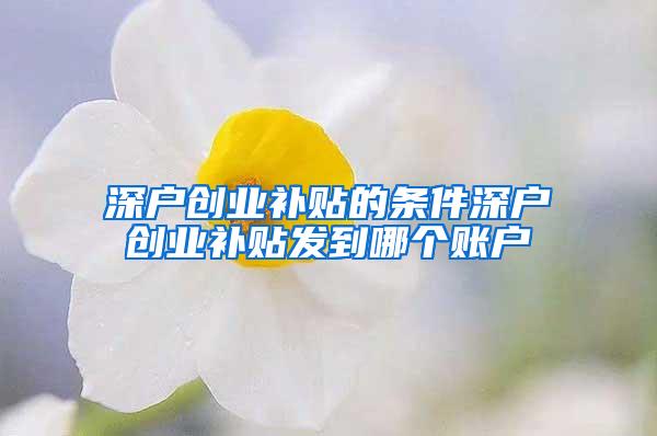 深户创业补贴的条件深户创业补贴发到哪个账户