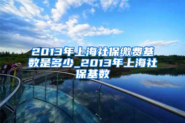 2013年上海社保缴费基数是多少_2013年上海社保基数