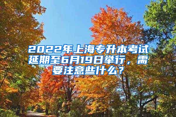 2022年上海专升本考试延期至6月19日举行，需要注意些什么？