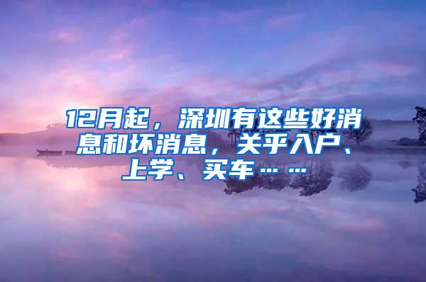 12月起，深圳有这些好消息和坏消息，关乎入户、上学、买车……