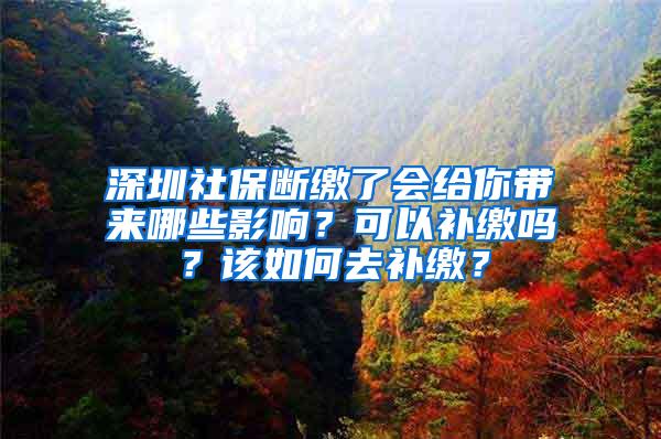 深圳社保断缴了会给你带来哪些影响？可以补缴吗？该如何去补缴？