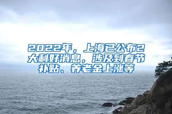 2022年，上海已公布2大利好消息，涉及到春节补贴、养老金上涨等