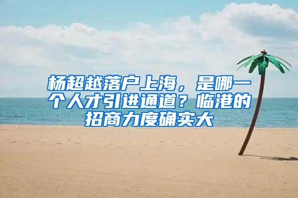 杨超越落户上海，是哪一个人才引进通道？临港的招商力度确实大