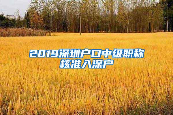 2019深圳户口中级职称核准入深户